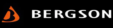 Logo Bergson