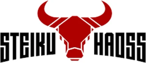 Logo Steiku Haoss